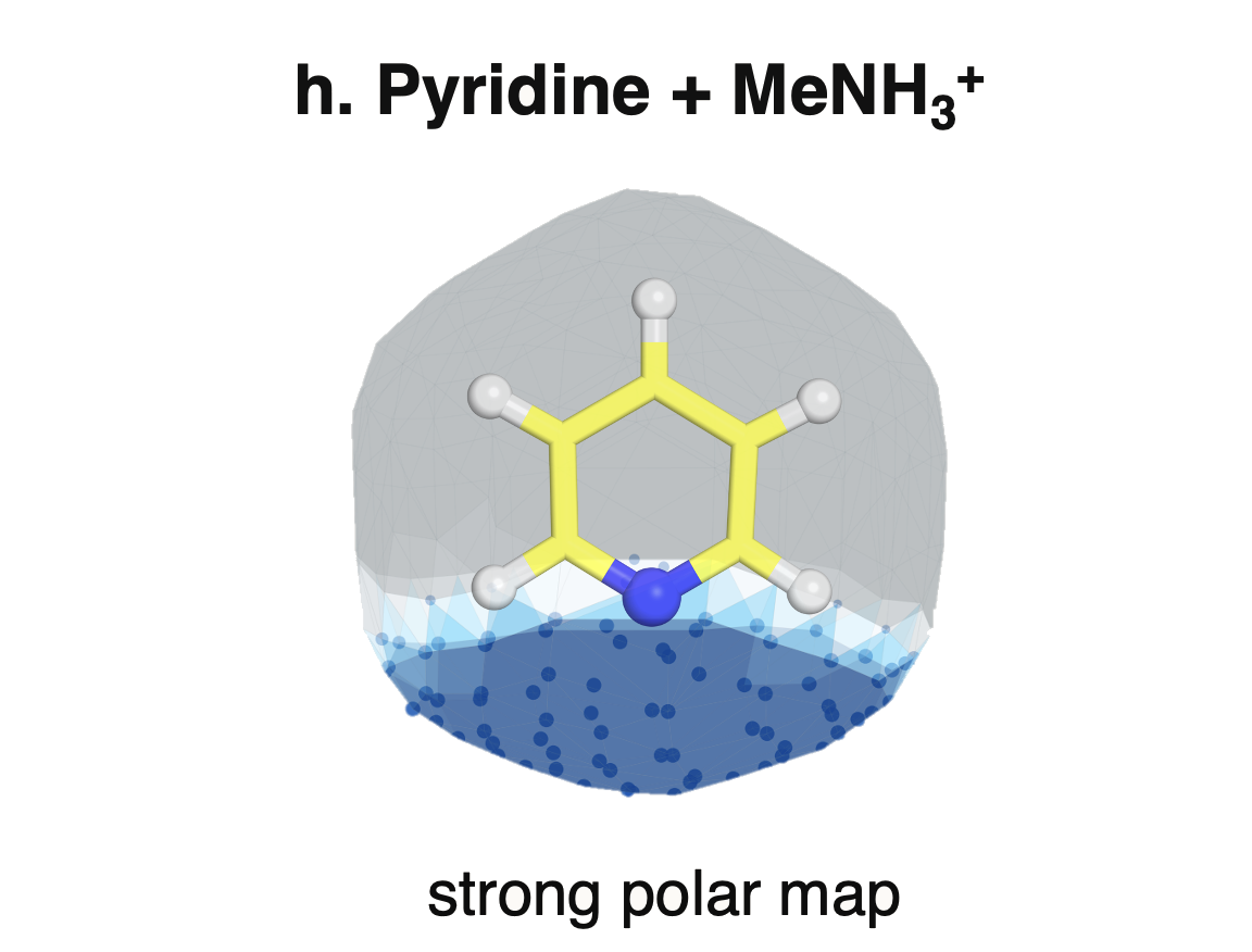 Polar interaction density map for pyridine and methylammonium.