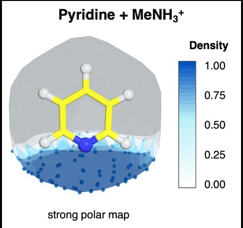 Polar interaction density map for pyridine and methylammonium.